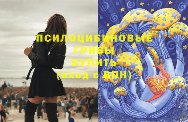 скорость Алексеевка
