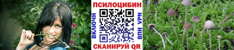 Псилоцибиновые грибы прущие грибы  гидра как зайти  Комсомольск 